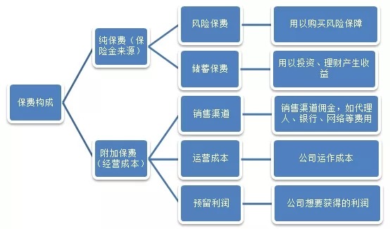 買保險影響保費價格的因素有哪些