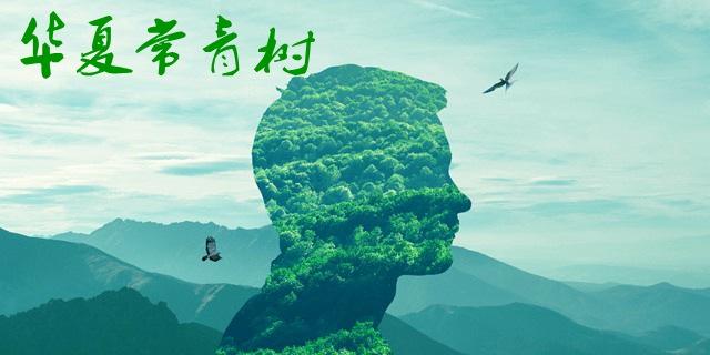 華夏長(zhǎng)青樹怎么樣 優(yōu)劣勢(shì)有哪些？